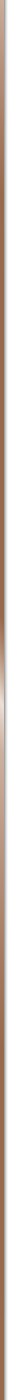 Navigation Strip